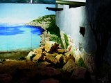 (73)Da el Alamein a Salerno.JPG